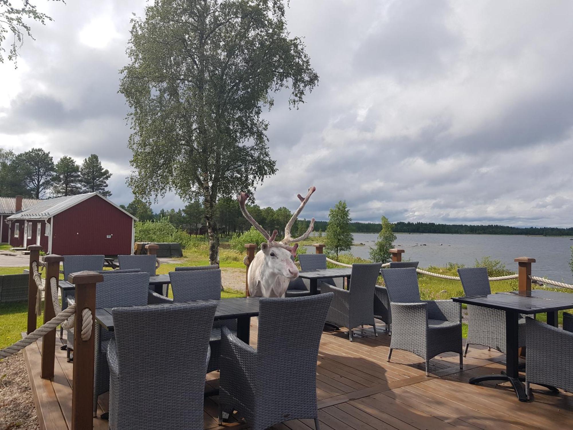 Hotel Kraja à Arjeplog Extérieur photo